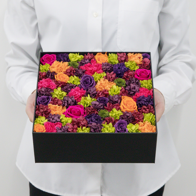 レインボー Nicolai Bergmann