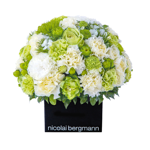 グリーンアイボリーキッス Nicolai Bergmann