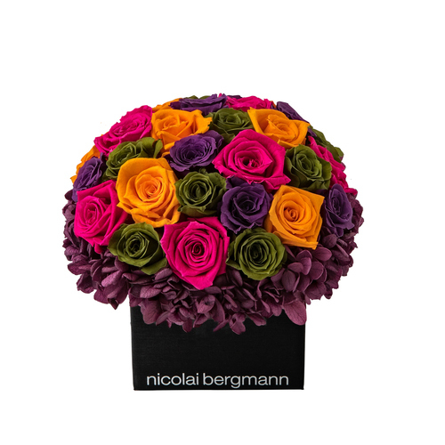 シック マルチ ミックス Nicolai Bergmann